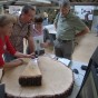 Foto: Auf einem Tisch liegt eine große Baumscheibe. Eine Kollegin des Labors für Dendroarchäologie zeigt zwei Besuchern die Messung von Baumringbreiten.